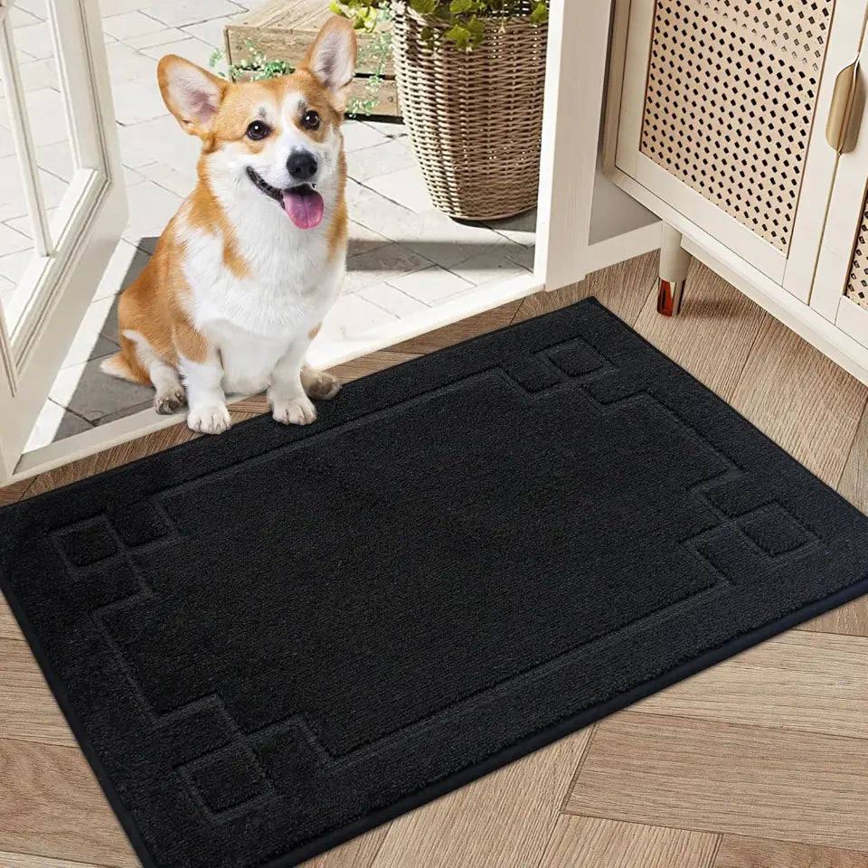 Classic Framed Thin Door Mat