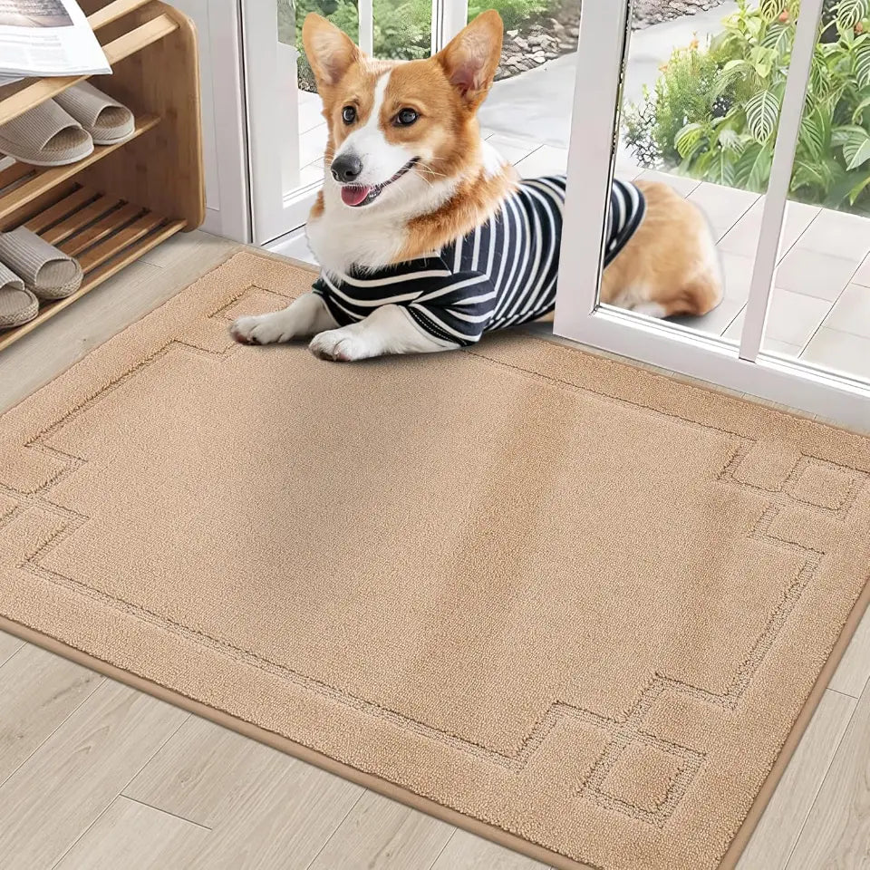 Classic Framed Thin Door Mat