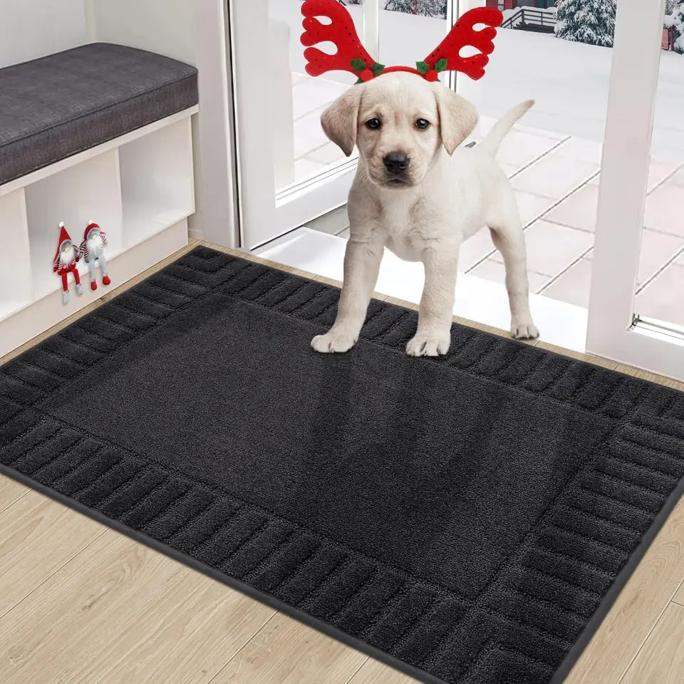 Solid Colored Striped Border Dirt Trapper Door Mat