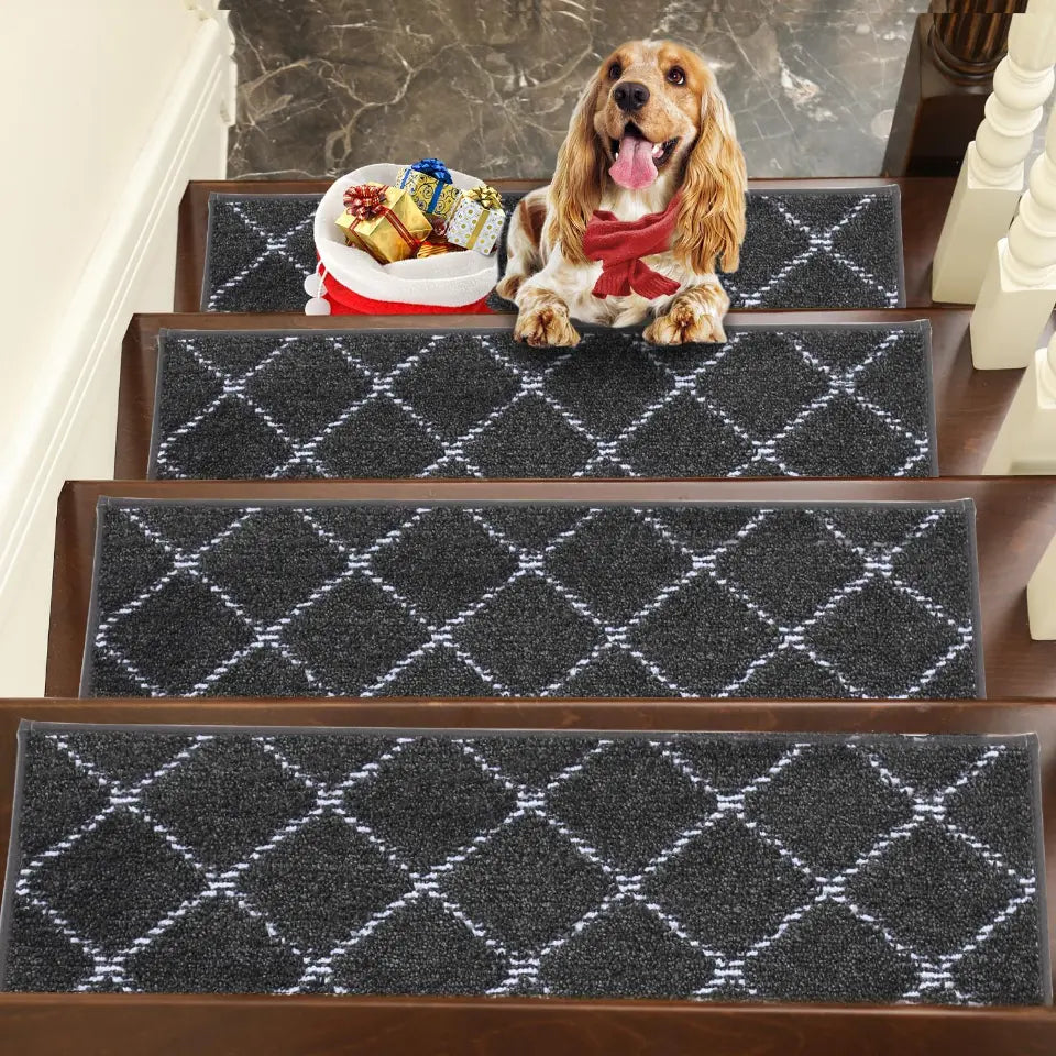 Checkerboard Modern Carpet on Stairs Set