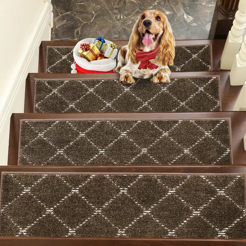 Checkerboard Modern Carpet on Stairs Set