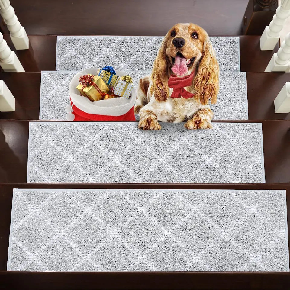 Checkerboard Modern Carpet on Stairs Set